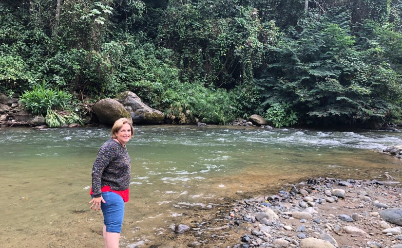 Recibiendo el diagnóstico