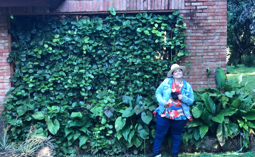 Y entonces todo&nbsp;cambió